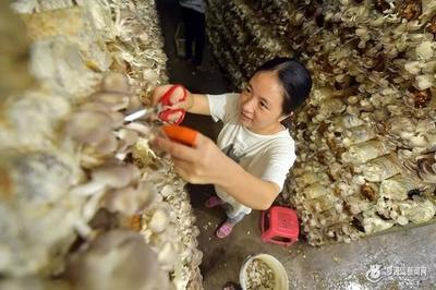 最新！福州區縣經濟實力排名 今年殺出一匹黑馬，農產品零售成新賽道